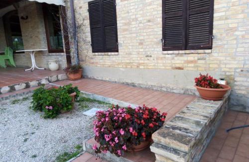 Casabianca di Fermo Apartment | L'ulivo e lo scoiattolo