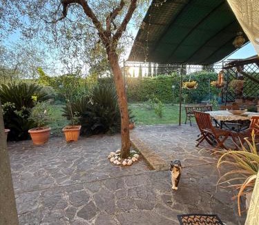 Tarano Apartment | L'Ulivo