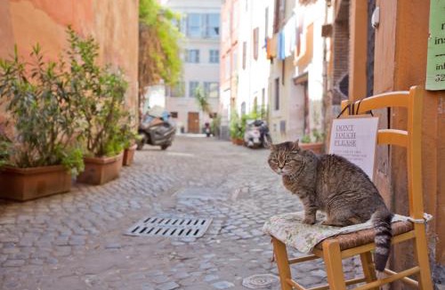 Trastevere Apartment | La Bonosa (Trastevere)
