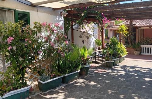 San Marco di Castellabate House | La capannina cilento cam 12
