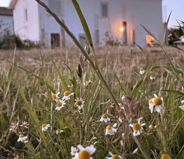 Montegiorgio Bed & Breakfast | La Casa Degli Artisti