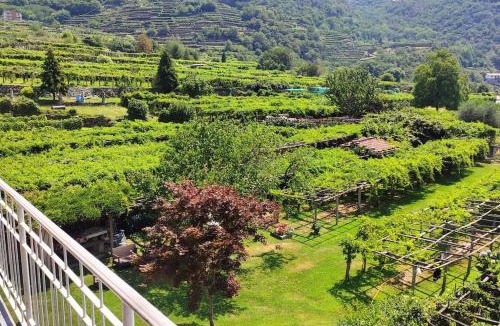 Carema Apartment | La casa dei nonni 3,0