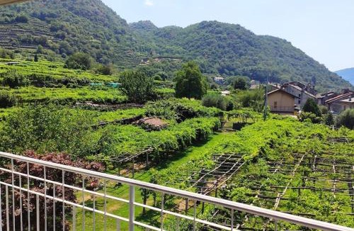 Carema Apartment | La casa dei nonni 3,0