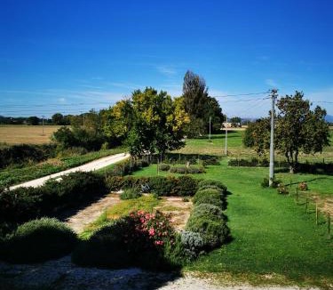 Cannara Bed & Breakfast | La Casa dei Tigli