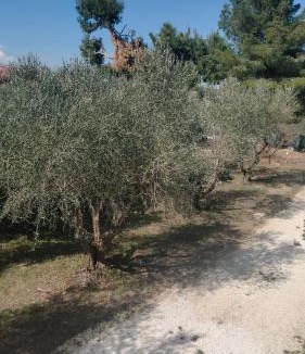 Belvedere Ostrense Apartment | La Casa del Sole