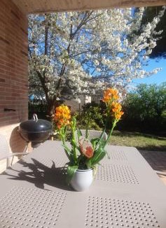 Assisi House | La Casa delle Ciliegie