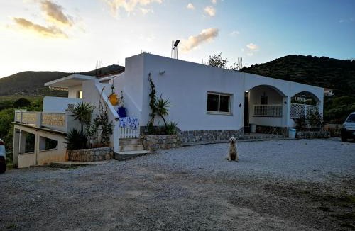 Marina Di Camerota Bed & Breakfast | La Casa di Alfonso