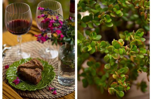 Montiano Apartment | La Casa di Marco, holidays, sea and nature