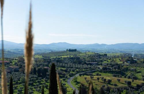 Montiano Apartment | La Casa di Marco, holidays, sea and nature