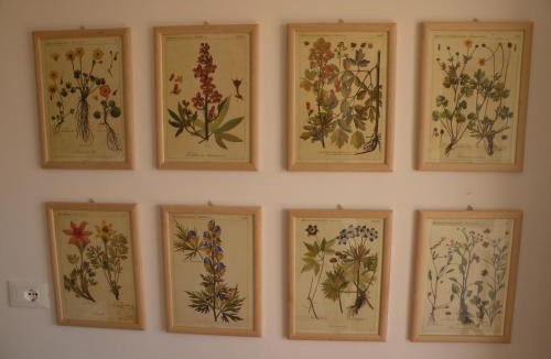 Porto Recanati Bed & Breakfast | La Casa sul Corso B&B
