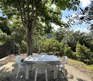 Vico del Gargano House | La Casina in the Orange Grove