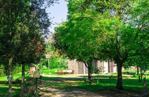 Castiglione della Pescaia Ski Chalet | La Contea, il cottage tra gli ulivi