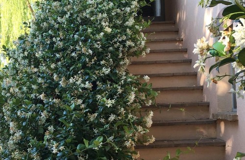Marsciano House | La Fratta Art - House