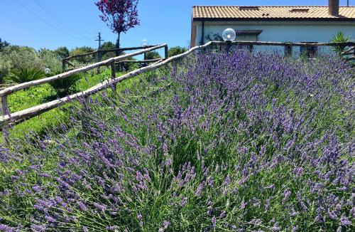 Senigallia Bed & Breakfast | La Goiaba B&B
