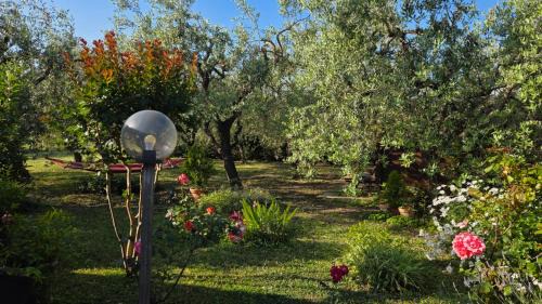 Ortona House | La Margherita