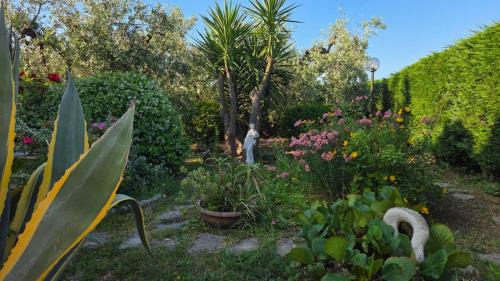 Ortona House | La Margherita