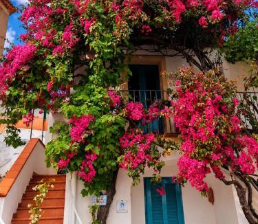 Maratea House | La Perla del Porto di Maratea House