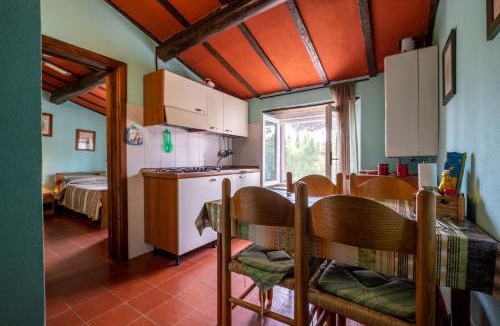 Magliano in Toscana House | La pieve - Margherite