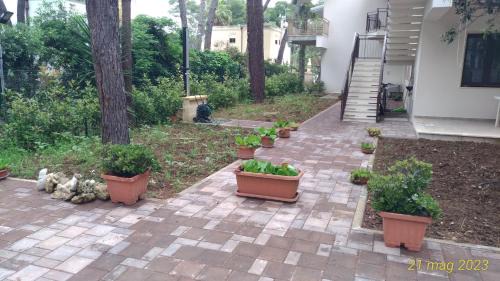 Castellaneta Marina House | La pineta