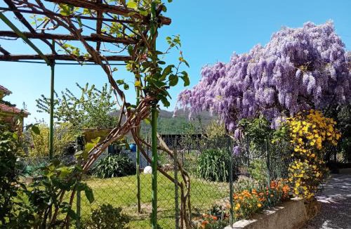 Stella Bed & Breakfast | LA TANA DELLA VOLPETTA - Bed & Breakfast