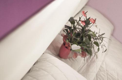 Albairate Bed & Breakfast | La Tarantola