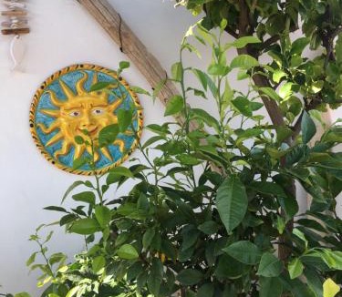 Senigallia Bed & Breakfast | La Terrazza Sui Tetti