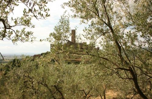 Montecchio Villa | La Torre