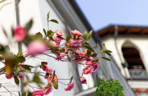 Torre Pellice House | La Verbena - Villa storica con parco in Val Pellice