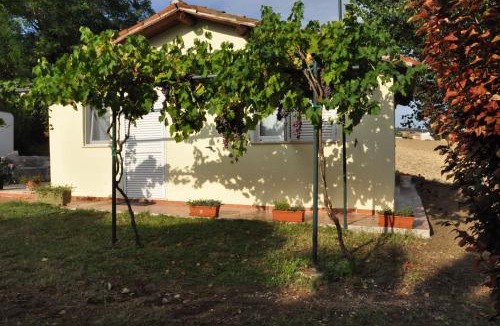 Agugliano House | La Vite sul Tetto