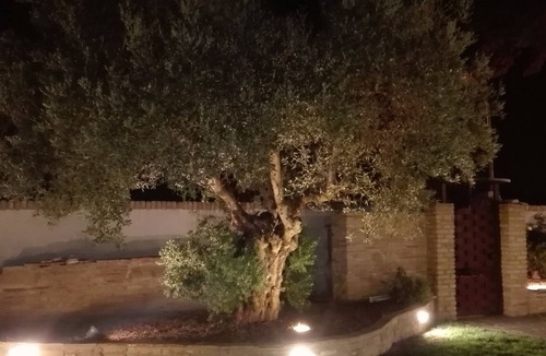 Francavilla al Mare Villa | Laura Villa on a green hill, 7 minutes from the sea