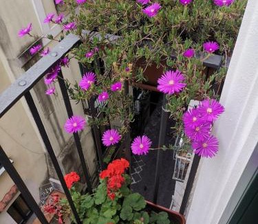 Historical Downtown Salerno Apartment | Le 13 Fontane