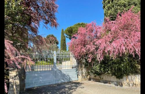 Perugia Bed & Breakfast | Le Balze Camere in Villa
