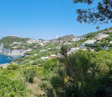 Le Forna Apartment | Le Case dei Pescatori - Albicocco