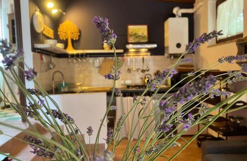 Corciano House | Le case di Lisetta Holiday homes