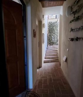 Amelia House | Le Contrade
