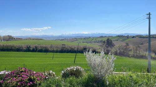 Morrovalle House | Le parole del gelso