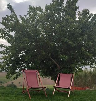 Morrovalle House | Le parole del gelso