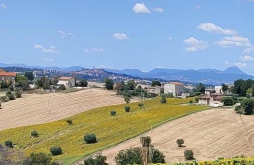 Morrovalle House | Le parole del gelso