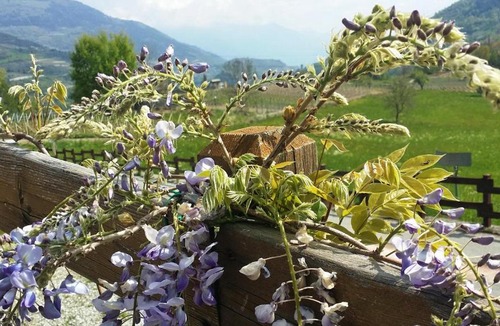 Introd Bed & Breakfast | Le Renard d'Introd