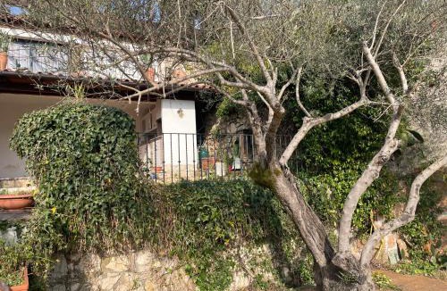 Torre San Gregorio House | LILIUM HOUSE ARCE