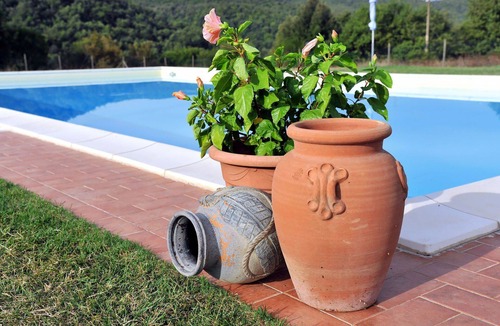 Massa Marittima Apartment | Lovely apartment for 4 guests with pool, WIFI, TV, patio and pets allowed