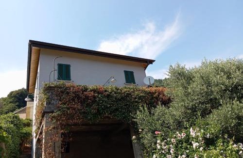 Maccagno con Pino e Veddasca House | Low-mountain house with terrace and garden, near Lake Maggiore