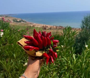 Scifo House | Marine Park Casa Vacanze