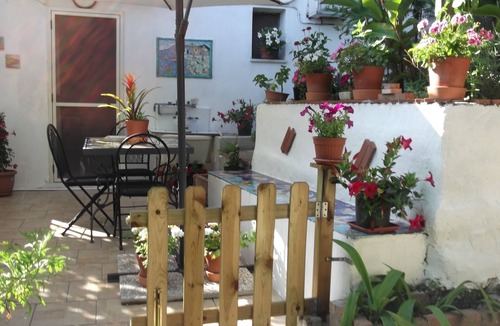 Vietri sul Mare House | mimosas at the beginning of the Amalfi coast