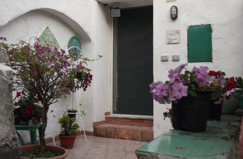 Vietri sul Mare House | mimosas at the beginning of the Amalfi coast