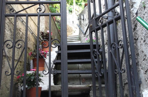 Vietri sul Mare House | mimosas at the beginning of the Amalfi coast