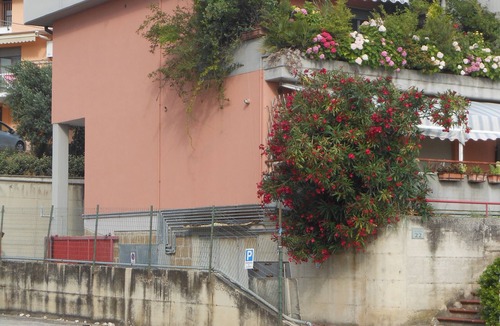 Lido Riccio Apartment | Mini apartment Lido Riccio