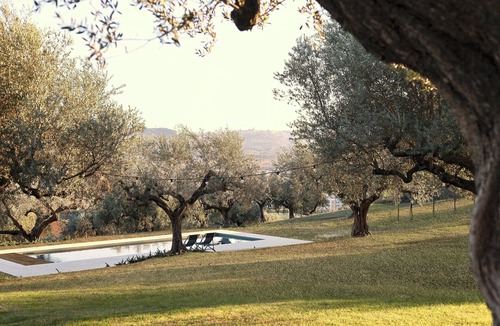 Spoltore House | Modern house among Spoltore olive trees
