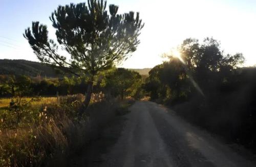 Gavorrano House | Moscatello - Gavorrano