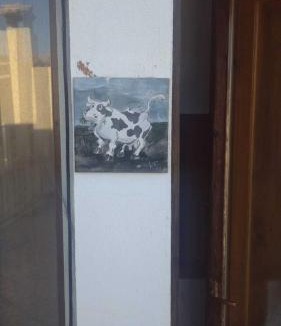 Arcavacata Bed & Breakfast | Mucca - La Cantina del contadino